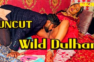 Wild Dulhan (2024) Uncut Hindi Short Film Neonx