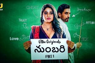 Numbari P01 (2024) Telugu Hot Web Series