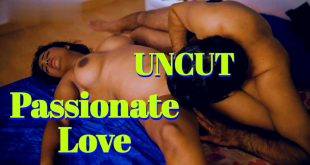 Passionate Love (2024) Uncut Hindi Short Films