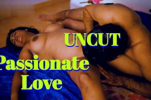 Passionate Love (2024) Uncut Hindi Short Films