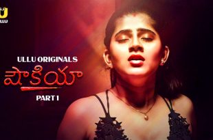 Shaukiya P01 (2024) Telugu Hot Web Series